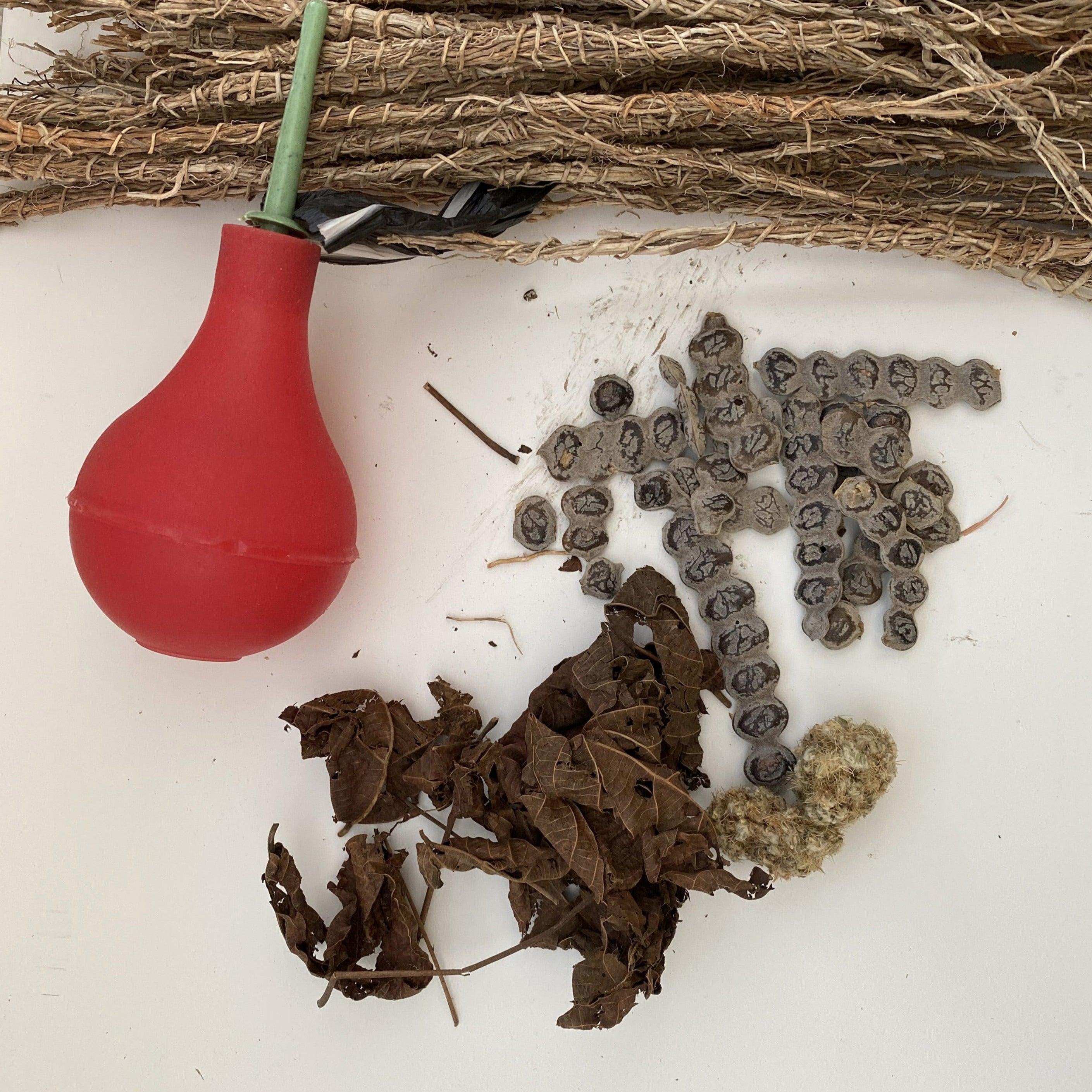 GONGOLI - DJEKA- CLOU DE CLROFLE by intimythe - Spices, Plants