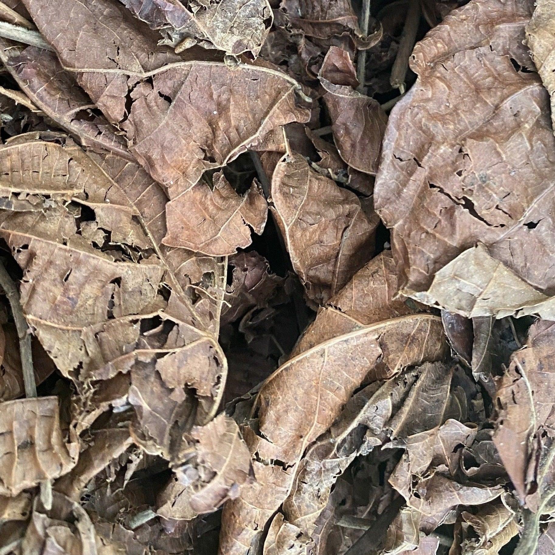 Djéka - feuilles séchées en vrac - 100g - Produit Livré Gratuitement sur  MONKADI —