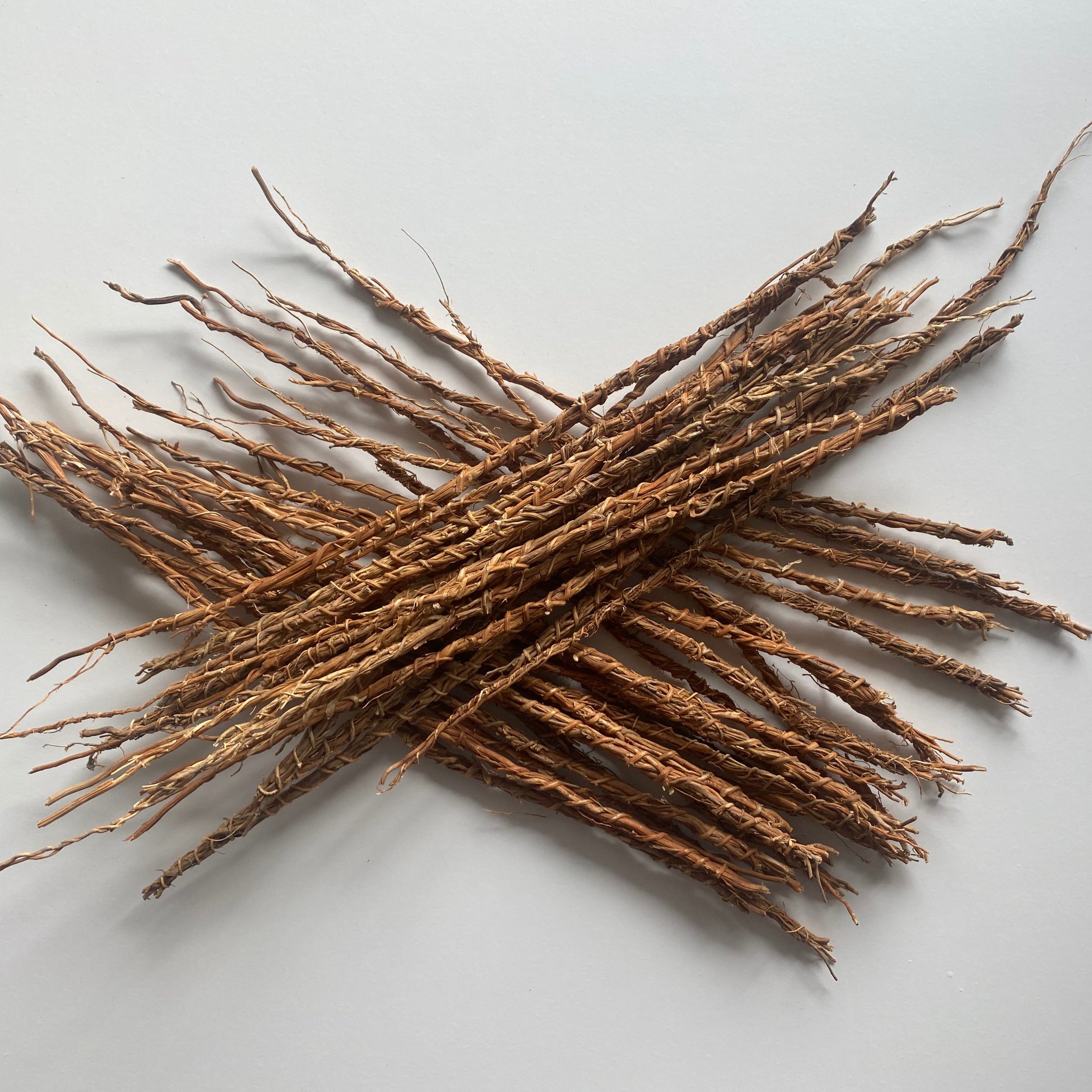 GONGOLI / VETIVIER / KHAMARE stems by lestresorsdonisha - Spices, Plant -  Afrikrea