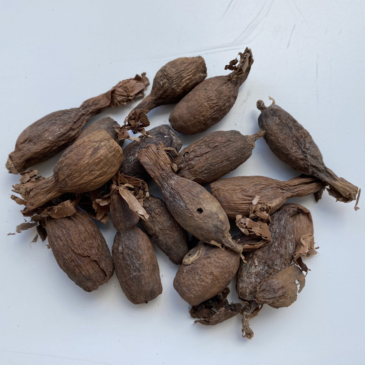 Épices - Graines de Paradis Poivre de Guinée Maniguette 