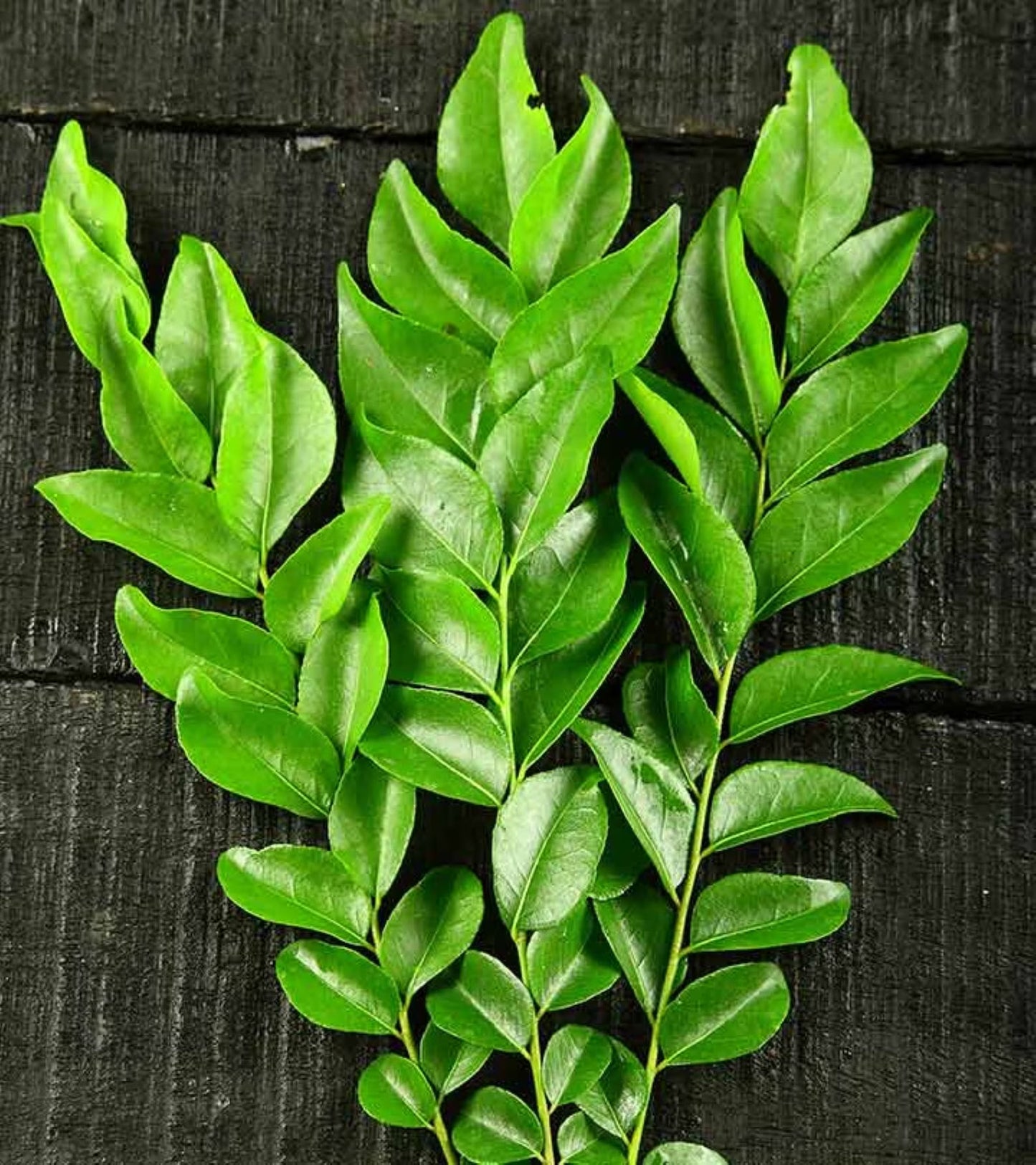 
                  
                    Dried curry leaves
                  
                