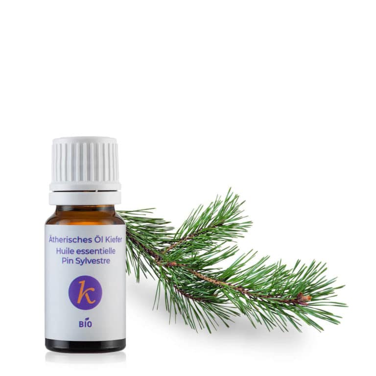 Organic essential oil of Forest Pine