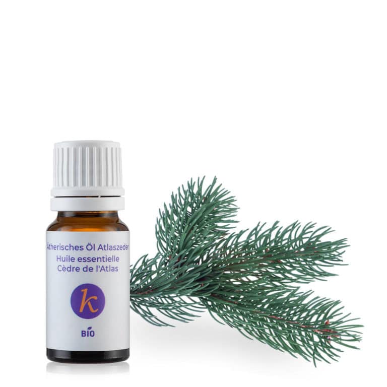 Organic essential oil of Atlas Cedar