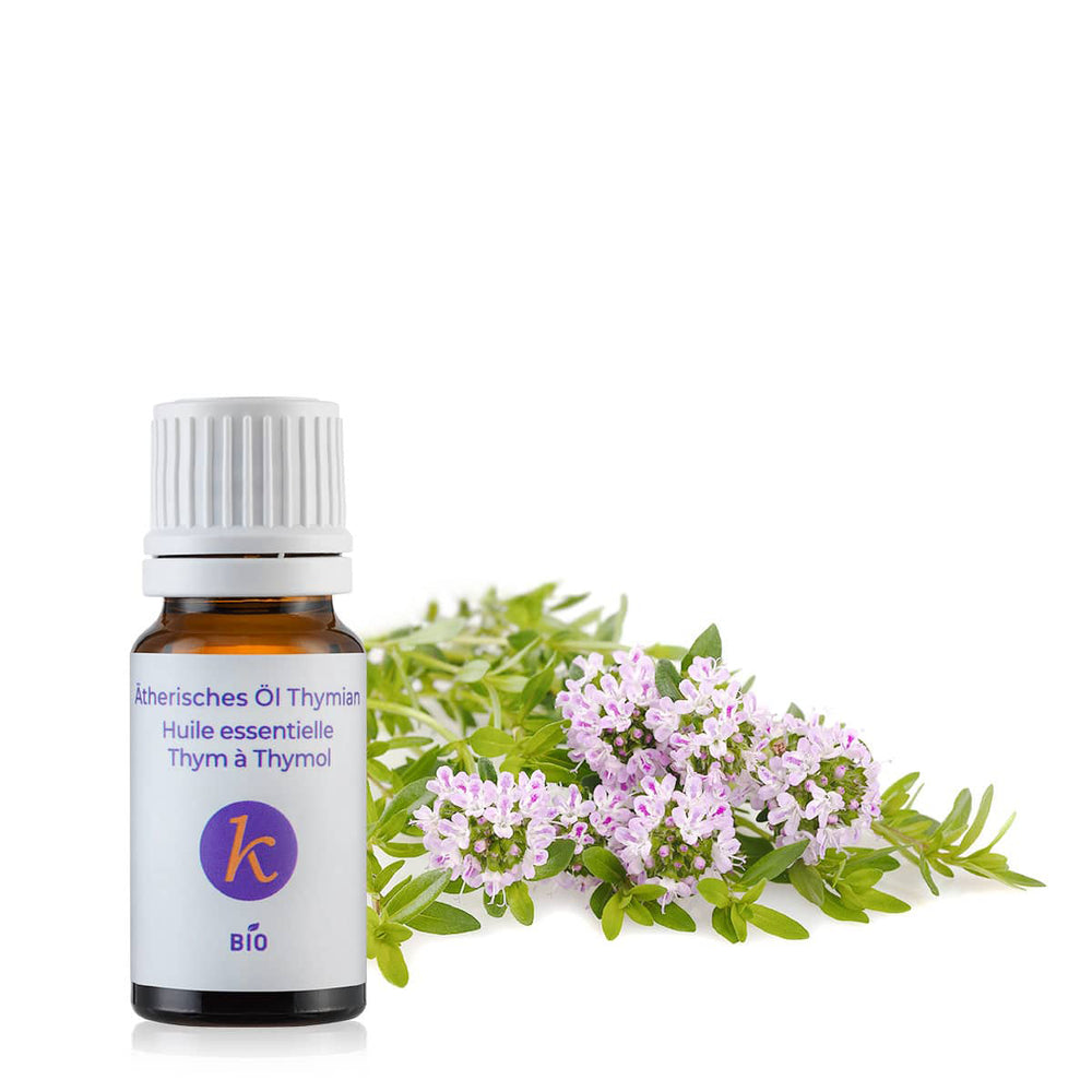 Organic essential oil of Thyme
