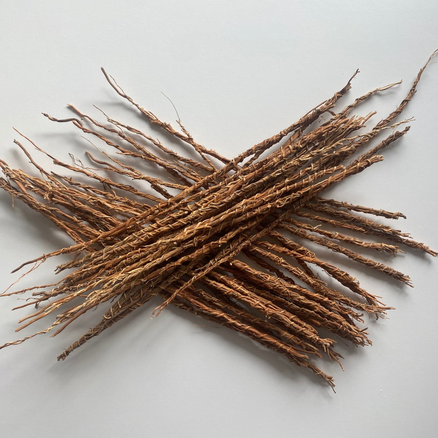 Lot of 10 stems - KHAMARE / GONGOLILI / Root of VETIVER - Plants - Spices,  Plants, Roots and Powders