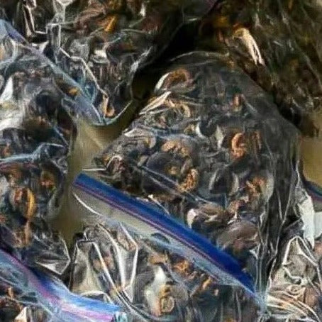 
                  
                    Escargot Géant Africain comestible (seché)
                  
                