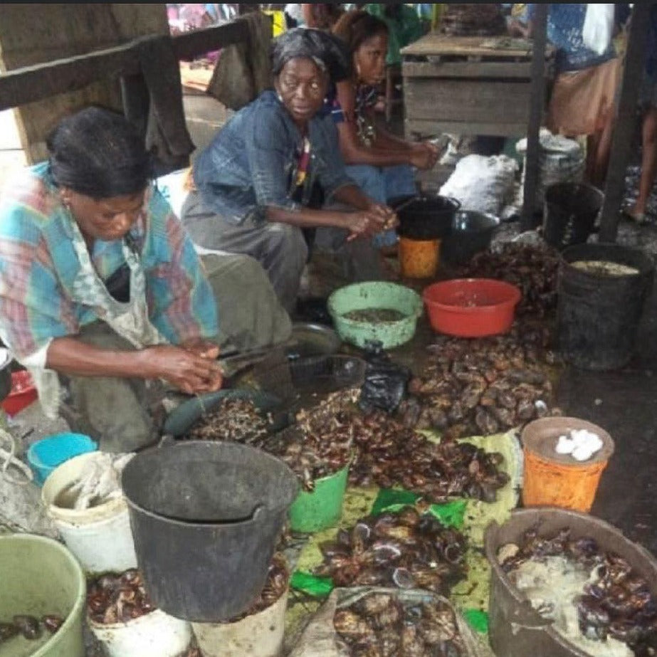 
                  
                    Escargot Géant Africain comestible (seché)
                  
                