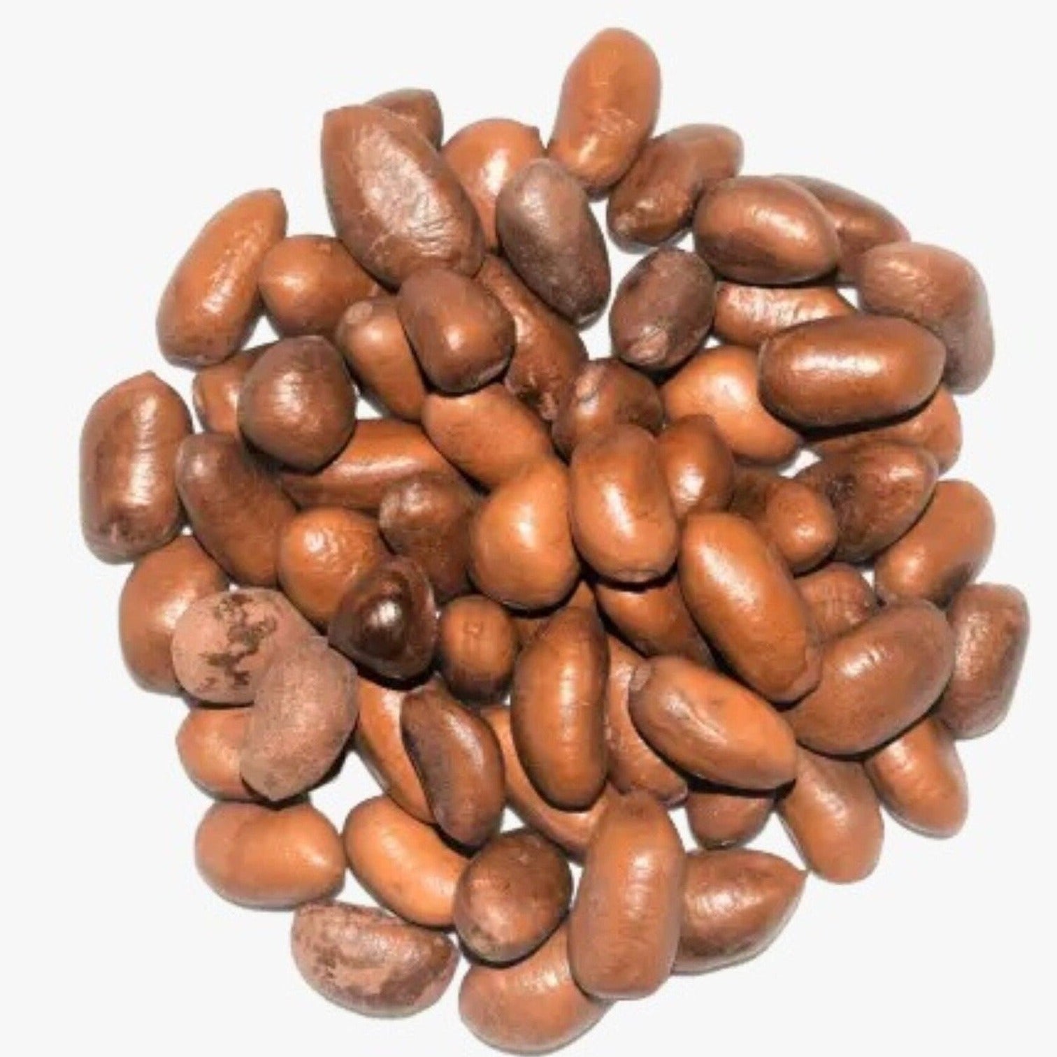 Ehuru Nutmeg Whole P??b?? African Seeds - Ehuru Spice - 50 Grams - West ...